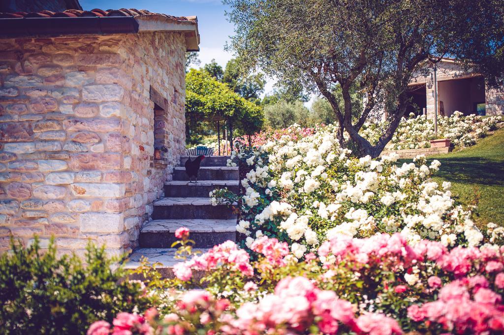 Agriturismo Casal San Sergio Fossombrone Bagian luar foto